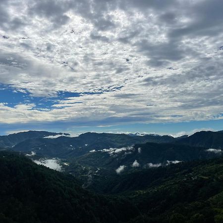 Onehouse Resort 兰斯顿 外观 照片