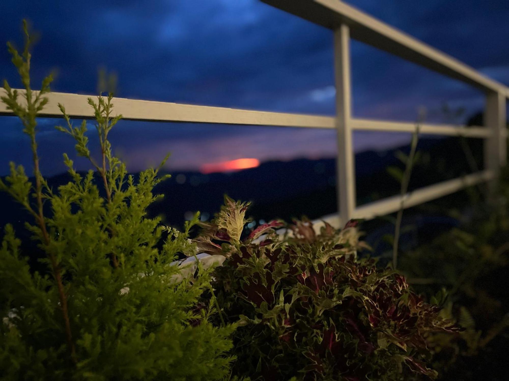 Onehouse Resort 兰斯顿 外观 照片