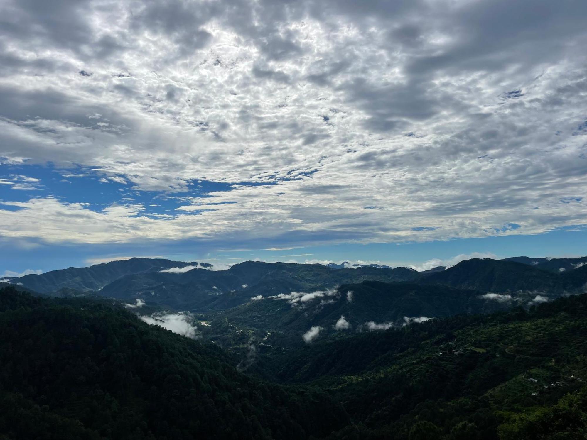 Onehouse Resort 兰斯顿 外观 照片